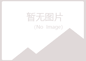 乐山中又菱咨询有限公司